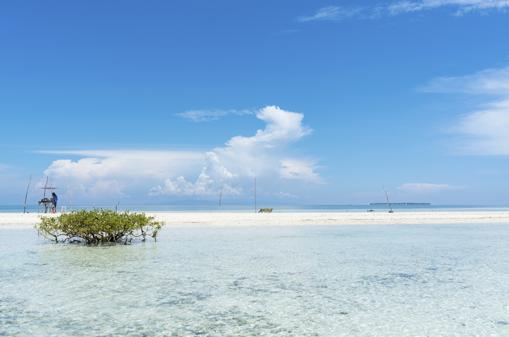 ビジネス、長期、短期、インターンシップ